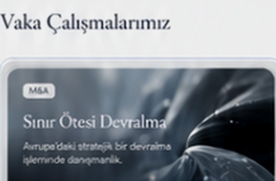 Sınır Ötesi Devralma